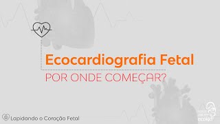 Ecocardiograma Fetal por onde começar com Dra Lilian Lopes  Ecocardiografia Fetal [upl. by Iy]