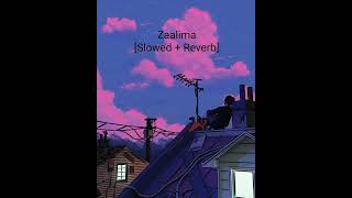 Zaalima Slowed  Reverb [upl. by Edmee719]