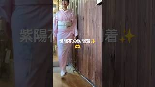 着物女子 きらり 夏着物 着物女子🫶休日着物code🫶着物 夏 vlog fashion 京都 [upl. by Leid272]