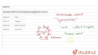 Axoneme with 92 microtubular arrangement occurs in [upl. by Leile]