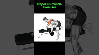 Trapezius muscle exercises sports howtogetsixpackabs [upl. by Eisinger984]