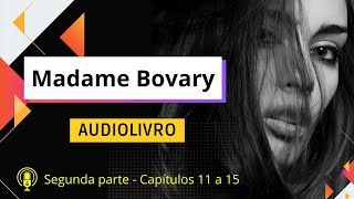 🔊Madame Bovary  Parte 02  capítulos 7 a 10  narração humana 📖 [upl. by Alvita254]