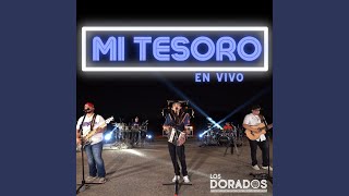 Mi Tesoro En Vivo [upl. by Ihp]