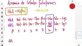 Proteínas III Hemoglobinopatias [upl. by Adnilema]