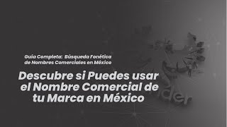 Guía Completa Búsqueda Fonética de Nombres Comerciales en México [upl. by Dleifxam853]