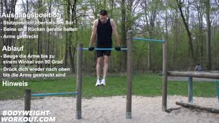 Erklärung Straight Bar Dips Deutsch Madbarz Bodyweight Übung [upl. by Ynogoham315]