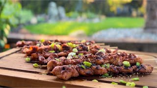 Korean Chicken Skewers [upl. by Inaj392]