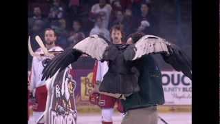 Condor goes WILD during Bakersfield Condors Game [upl. by Adar32]