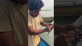 Fishing tips 🐠🌊 rajukare fishing youtube fishermanlifestyle fisherman ytshots shorts yt [upl. by Nytsud389]