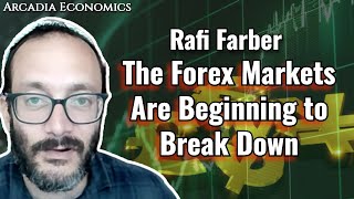 Rafi Farber The Forex Markets Are Beginning to Break Down [upl. by Notterb]