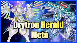 The Metas Of Master Duel Drytron Herald [upl. by Gualterio]