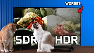 Is HDR Worse  HDR vs SDR On Monitors amp TVs [upl. by Jochbed]