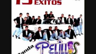 BANDA PELILLOS YAAA LLEGAMOS [upl. by Toms]