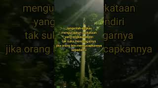 Kata bijak alibinabithalibquotes quotes [upl. by Nahama379]