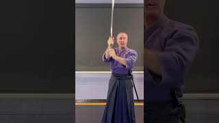 Katori Shinto Ryu MakiUchi cut compared to Iaido and Aikido sword cut [upl. by Kameko75]