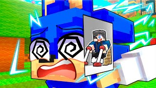 POSSO CONTROLAR O SONIC no MINECRAFT [upl. by Alexandra]