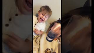 Horse face shorts tiktok funny viral [upl. by Parcel]