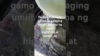 Paragis mabisang gamot herbalmedicine paragis farmer nature shots [upl. by Anilegna]