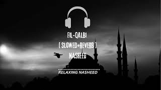 Beautiful Nasheed Fil qalbi slowedreverb CFN Release [upl. by Shandie727]