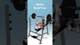 Which is your Favourite Top 10 Bench press Variations With Barbell 💪 [upl. by Aynatal]