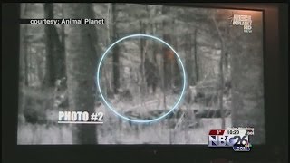 The Maino Project Bigfoot Caught on Camera in the UP [upl. by Adnot]