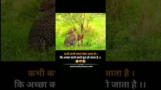 मेरे सिवा कोई ओर ना ले जाए प्रतिभावान 😢😌shortsvideo motivation uspr Badgoti [upl. by Whitney]