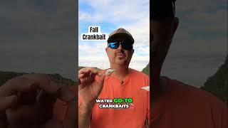 Fall Crankbaits Secrets For Monster Bass fishingshorts shortsfishing shortfishing [upl. by Jc]