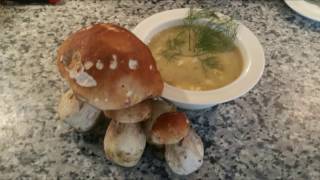 Kulajda  Recept na klasickou Krkonošskou Kulajdu mushroom soup [upl. by Hurd]