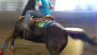 BARREL RACING SADDLEBRED [upl. by Eleonora]