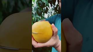 Orange fruits 🧡🧡fruitcutting fruits trending viralvideo youtubeshorts [upl. by Dal791]