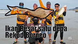 Epsd2  IKan u Kemejan dan GT besar Permula Surf berjaya [upl. by Halian]