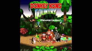 Simian Segue From quotDonkey Kong Countryquot [upl. by Tonjes]