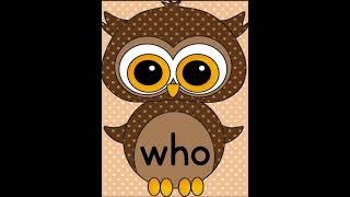 Learn 10 Dolch Primer Sight Words with Brown Owl Theme Set 4  Fall Sight Word Practice for K2 [upl. by Aidahs]