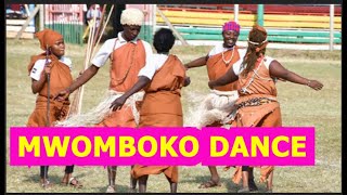 GIKENO KĪNENE NYERI MWOMBOKO DANCERS MAGICANJAMURA AKENYA NA RUIMBO MWAKI HINDI YA ASK SHO KABIRUINI [upl. by Demahum]