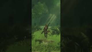 Zelda botw in 4k👀 [upl. by Htenay]