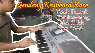 GENDANG KEYBOARD KARO NEW 2024  ENAK BIKIN KETAGIHAN [upl. by Frey]