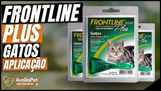 Frontline Plus Gatos é Bom Como Aplicar Pipeta AntiPulgas e Carrapatos [upl. by Susann452]