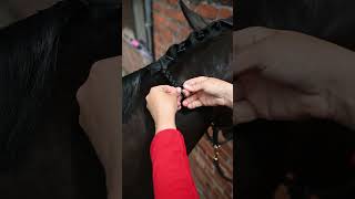 How To Plait A Horse [upl. by Thecla]