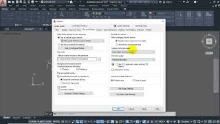 Auto cad option setting and setup [upl. by Nappy]