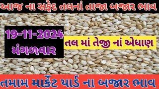 🔥tal na bhav 💥 તલ ના ભાવ 2024  આજ ના સફેદ તલ ના ભાવKhedubhaixyz [upl. by Avilo697]