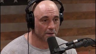 Joe Rogan on Open Borders and Immigration [upl. by Digdirb223]