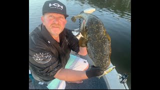 MASSIVE DUSKY FLATHEAD [upl. by Bride]