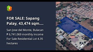 FOR SALE Sapang Palay 43474 sqm Agricultural Lot [upl. by Eetsirhc]