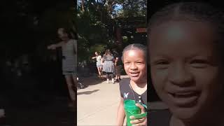 Checking out the animals at busch gardens buschgardensflorida monkey [upl. by Wills]