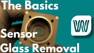 Camera Sensor Glass Removal 101 [upl. by Hizar]