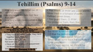 Tehillim Psalms 914 quotI praise You O יהוה with all my heart quotLet Yaaqob rejoice let Yisrael [upl. by Iand861]