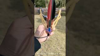 Slingshot or bow slingshot hunting foryou kalapati shorts trending funnyshortsfeed reels [upl. by Alfy]