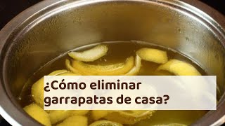 ¿Cómo ELIMINAR garrapatas de casa  ¡Los REMEDIOS CASEROS más efectivos [upl. by Siraved]