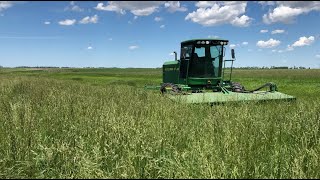 Cutting Orchard GrassAlfalfa with JD 4995  Farmer in the Boot [upl. by Fitzgerald815]