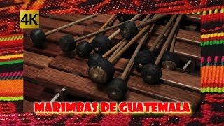 Marimbas De Guatemala en vivo 4K [upl. by Adiaroz]